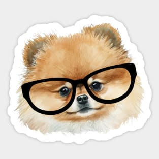 Cute  pomeranian dog with eye glasses Sticker